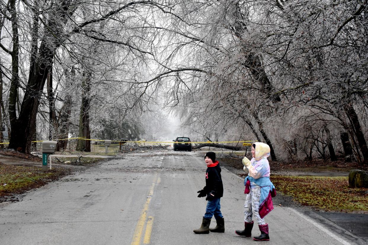 Emma O'Dell, 11, and her brother Zach, 9, in Frenchtown react to their parents over the large tree down on Hurd Road near their home Thursday morning. A car was trapped inside, as DTE Energy placed yellow caution tape around a large area. A neighbor said the power went out at about 7:30 p.m. Wednesday .