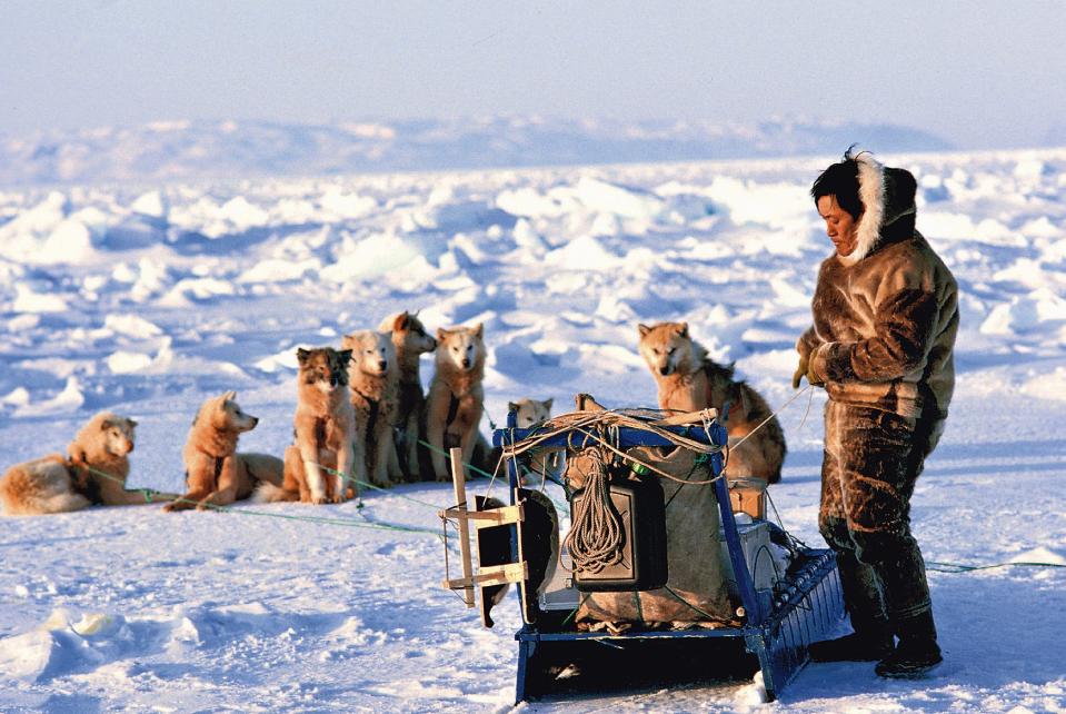 An Inuit's sledge in area of Jakobshaven city, Greenland.