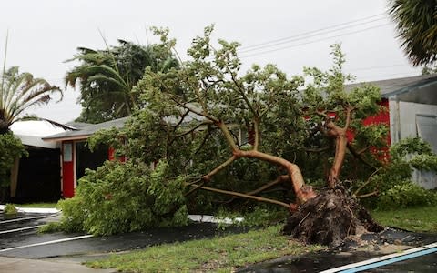 The high winds uprooted trees in Fort Lauderdale - Credit: Getty