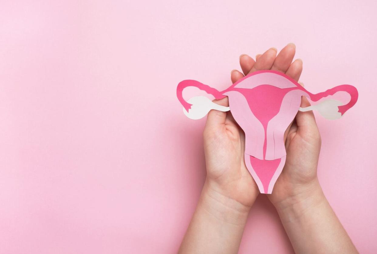 According to a 2021 Alberta Women's Health Foundation report, only 3.4 per cent of  research funding in the province goes to women's health research. (Shutterstock - image credit)