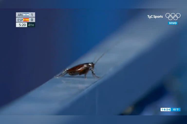 Cuando el seleccionado argentino ganaba 1-0, las cámaras de la televisión enfocaron a una extraña invitada en el estadio