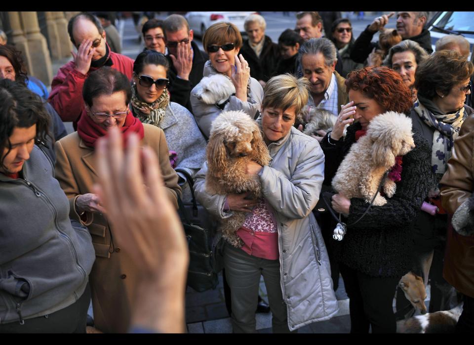 A Father blesses several dogs at the San Nicolas church during the feast of St. Anthony, Spain's patron saint of animals, in Pamplona, northern Spain, Tuesday, Jan. 17, 2012. The feast is celebrated each year in many parts of Spain and people bring their pets to churches to be blessed. (Alvaro Barrientos, AP)