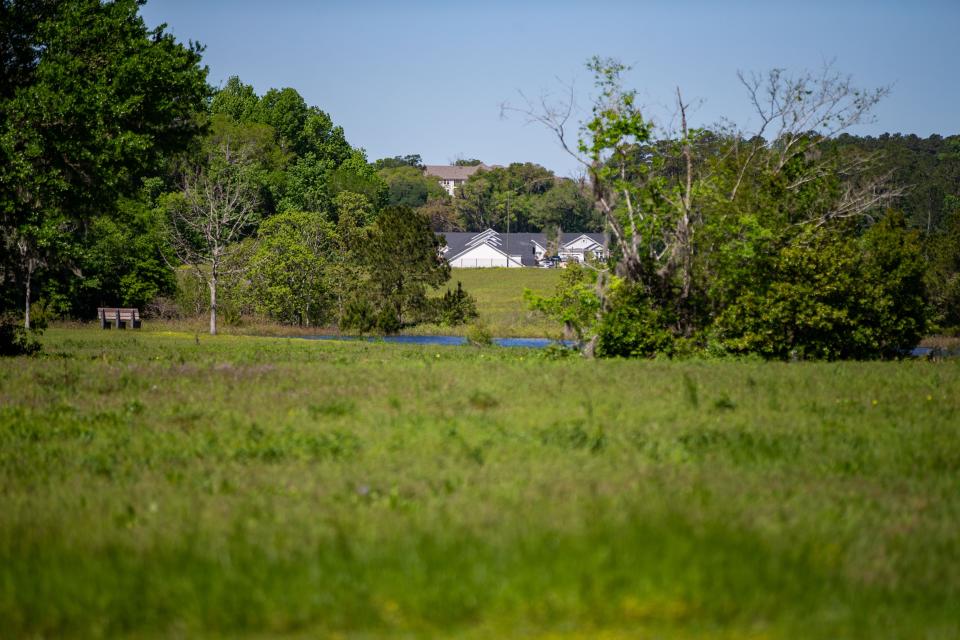 Seen from the Miccosukee Greenway are homes that were built in the Canopy at Welaunee development Thursday, April 4, 2024.