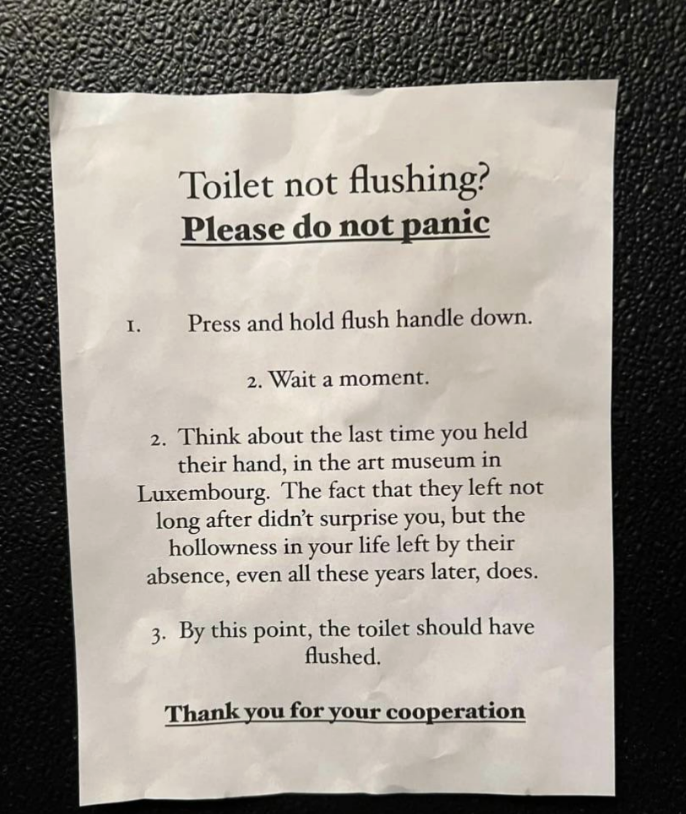 a list of how to properly flush the toilet without panicking with a long text to read