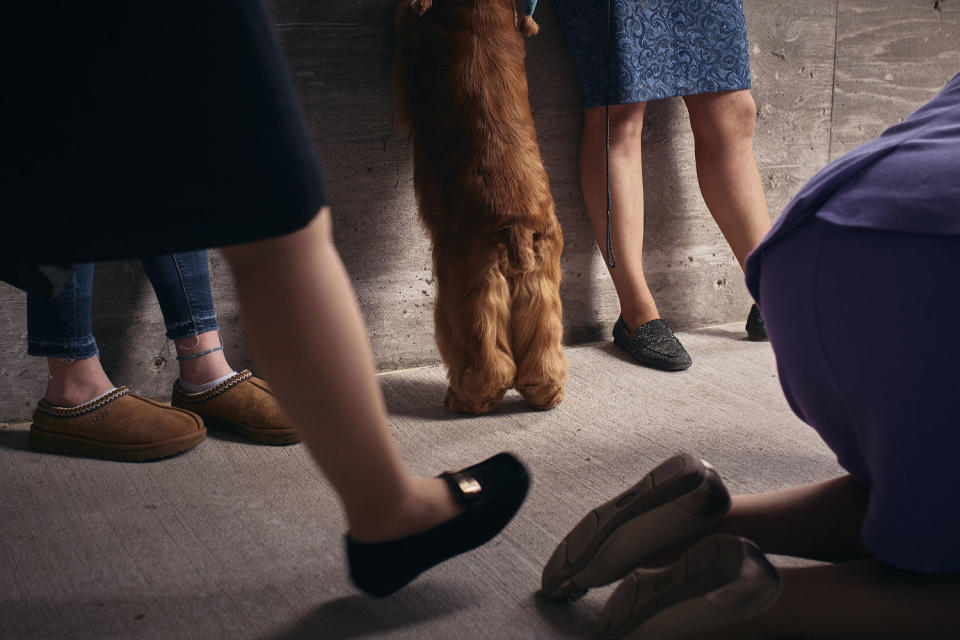 Image: An English Cocker Spaniel stands on its hind legs as other women pass by. (Andres Kudacki / Getty Images)