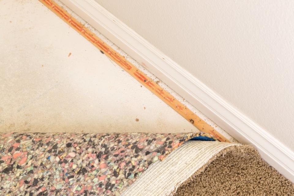 Carpet and carpet pad pulled up to reveal carpet tack strips running parallel to a room's baseboard.