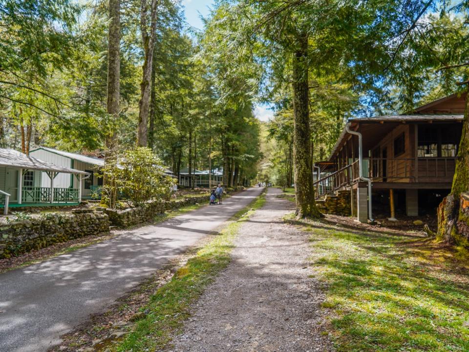 A paved road in the woods with cabins and trees on either side. A person pushing a stroller is seen in the distance on the left side.