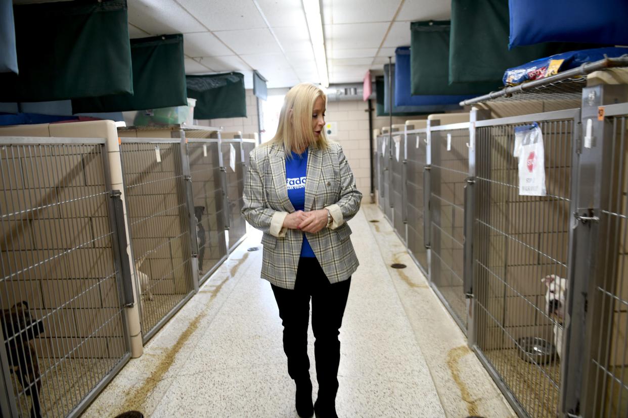 Jackie Godbey, executive director of Stark County Humane Society, walks through the facility on Wednesday, Feb. 8, 2023. The Humane Society is planning to reconfigure its interior, starting with a separate building for storage and separate areas for cats and dogs.