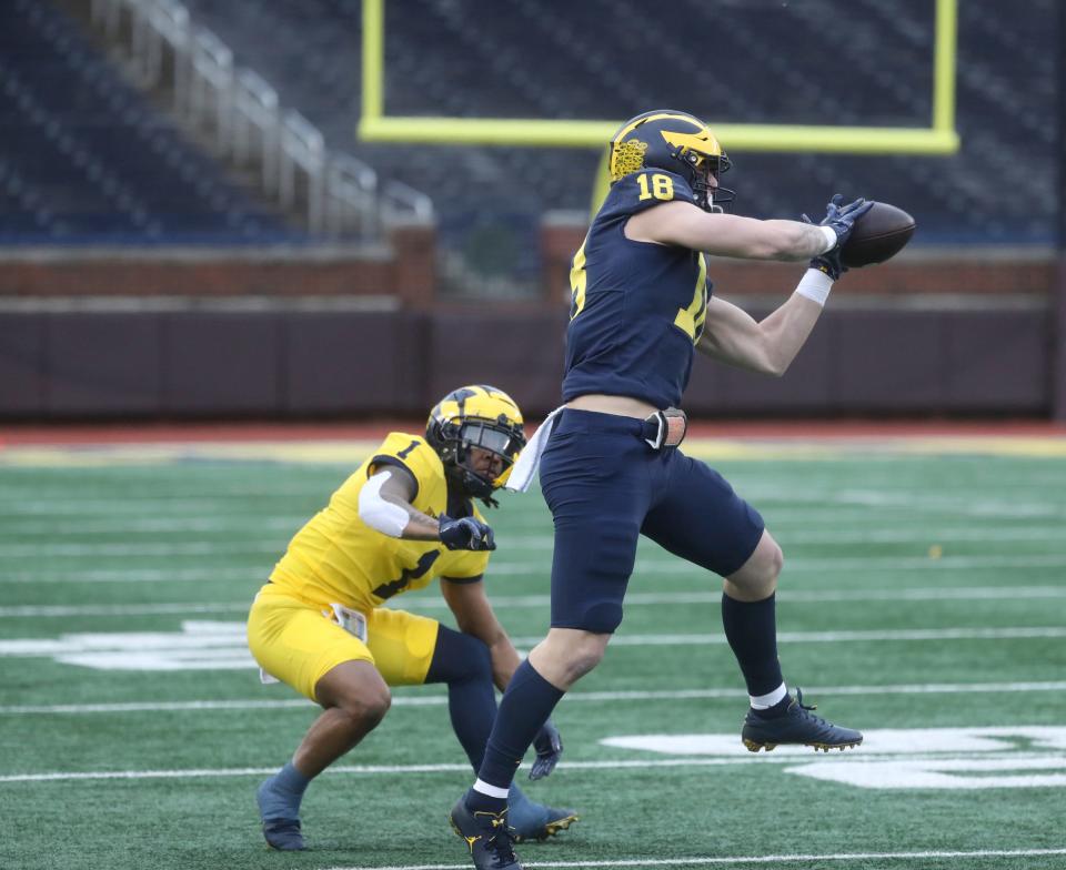 Michigan Wolverines tight end Colston Loveland (18) catches a pass against defensive back Ja'Den McBurrows (1) during the spring game Saturday, April 1, 2023 at Michigan Stadium.