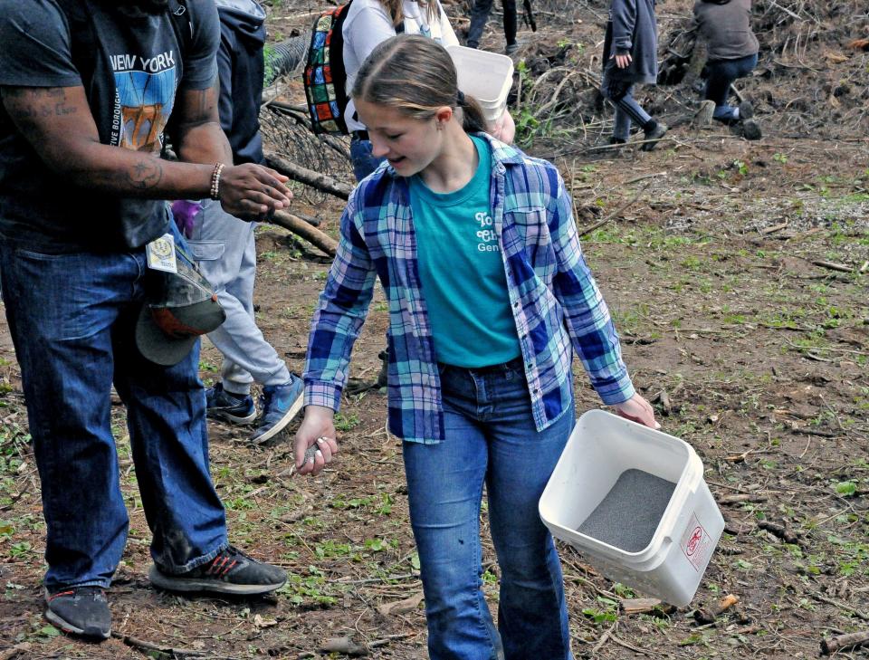 Brielle Burchett spreads fertilizer on cleared areas to help promote new grass growth at the Killbuck marsh, where Edgewood Middle School students spent time helping and learning as part of a science project.