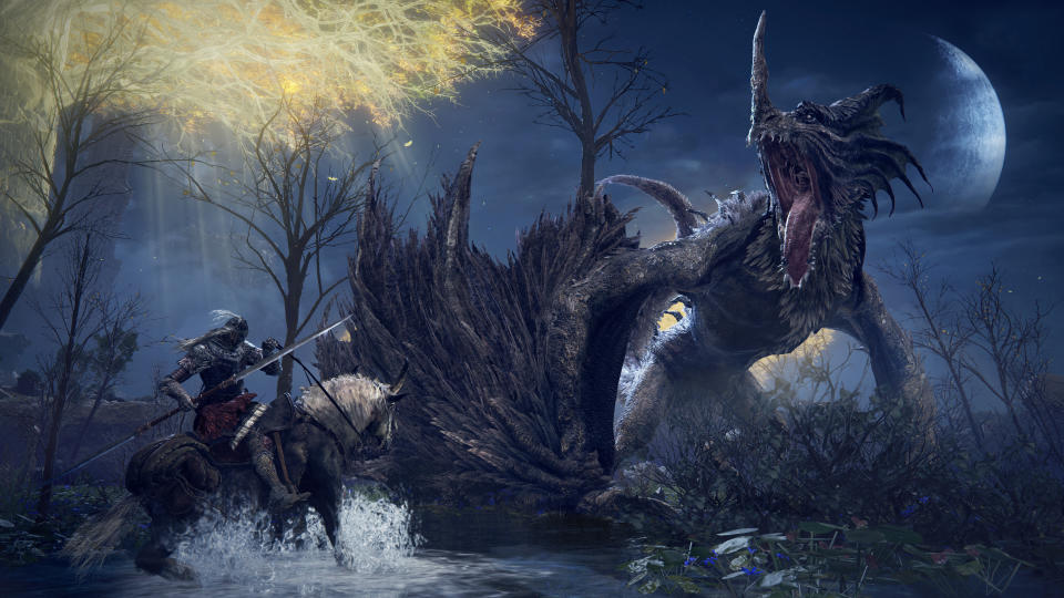 Who doesn't love a good dragon fight? (Image: FromSoftware)