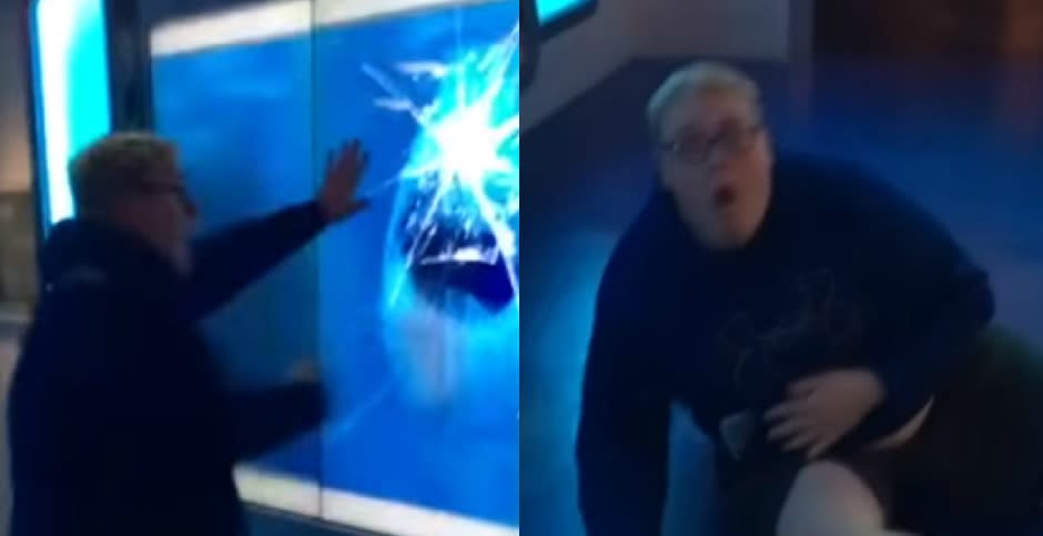 El visitante del museo se puso ‘insistente’ con la ‘pecera’ y recibió una dosis de karma instantáneo. Foto: YouTube