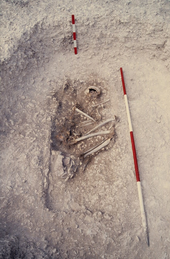 The remains of a Bronze Age individual discovered at Canada Farm, Dorset.