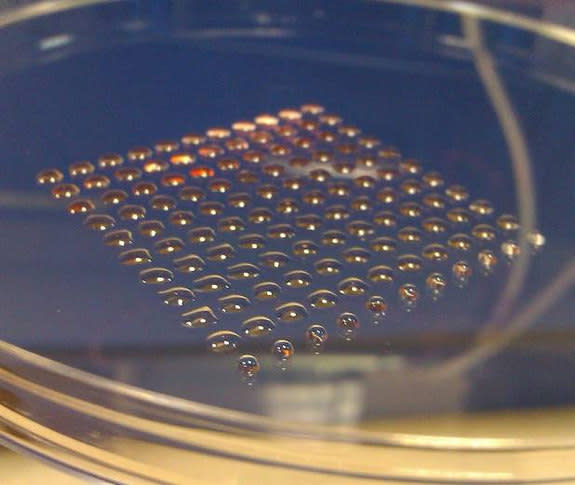 The printer was capable of printing uniform-size droplets of cells gently enough to keep the cells alive and maintain their ability to develop into different cell types.