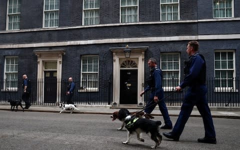 Security officers walk their dogs outside Downing Street  - Credit: Hannah McKay/Reuters