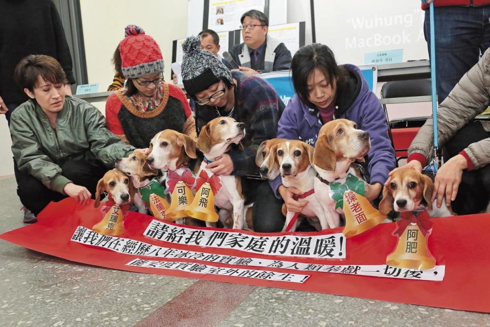 2014年1月，8隻米格魯實驗犬透過記者會徵詢認養人，希望擁有實驗室外的溫暖家庭。