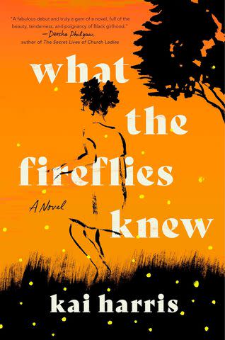 <p>Tiny Reparations Books</p> What the Fireflies Knew