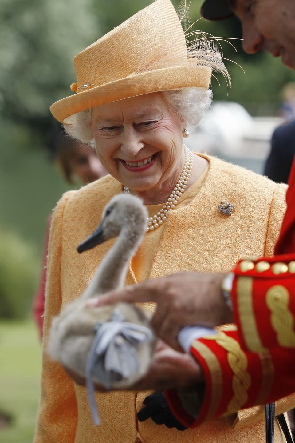 In 2005, the Queen claimed ownership of 88 cygnets, or young swans, on the River Thames. The swans are now looked over by a royal swan keeper.