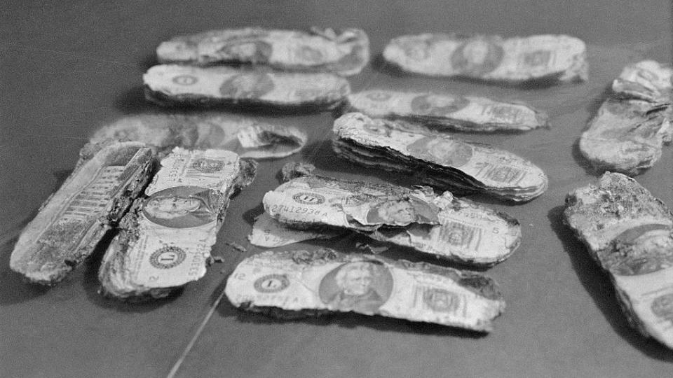 several stacks of partially decomposed $20 dollar bills lying on a table