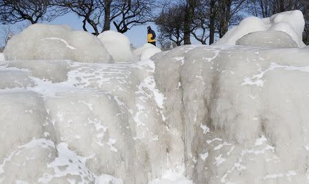 A man walks along a trail past frozen mounds of ice in Chicago, Illinois, February 19, 2015. REUTERS/Jim Young