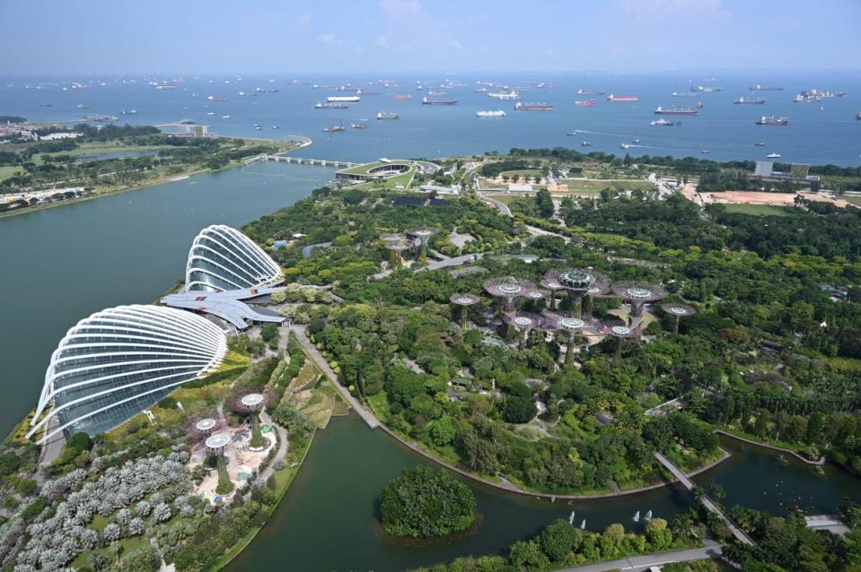 Gardens by the Bay is a must-see attraction in the heart of Singapore (AFP via Getty Images)