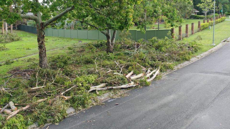 Fallen trees and branches are being cleaned up. Picture: Gold Coast City Council/Facebook