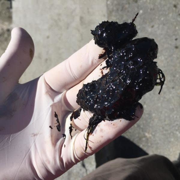 Bunker fuel residue washes up on the beach April 10, 2014 after an <a href="http://www.huffingtonpost.ca/2015/04/10/public-warned-to-avoid-do_n_7041190.html?utm_hp_ref=canada-british-columbia&ir=Canada+British+Columbia" target="_blank">oil spill in Vancouver's English Bay</a>.