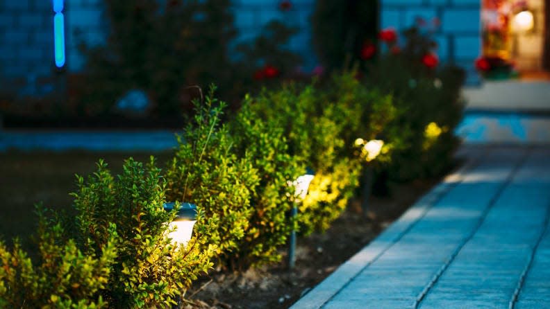 Not only are these lights functional, but they also improve the overall look of your front or backyard.