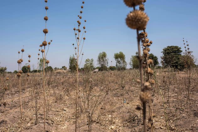  Drought associated with the El Nino weather pattern back in 2016