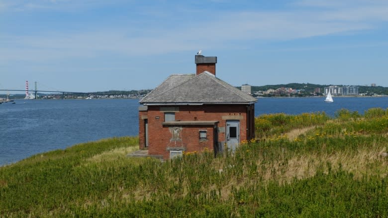 Georges Island 'a beautiful opportunity waiting to happen,' says MP