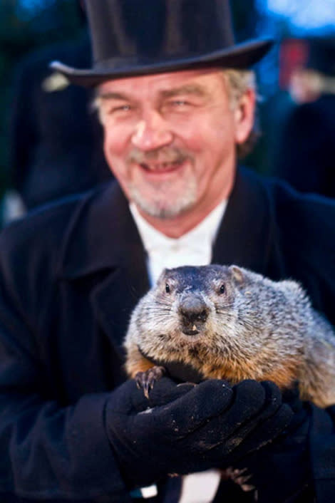 Groundhog handler John Griffiths carries Phil at the 2010 Groundhog Day event in Punxsutawney, PA.