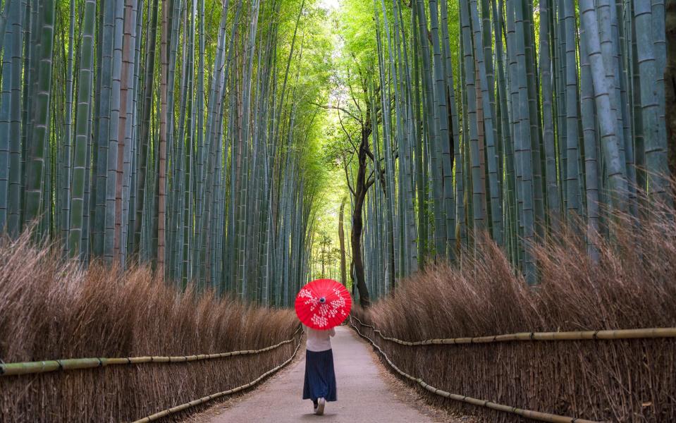 The Japanese government might soon pay for tourists to return - Getty