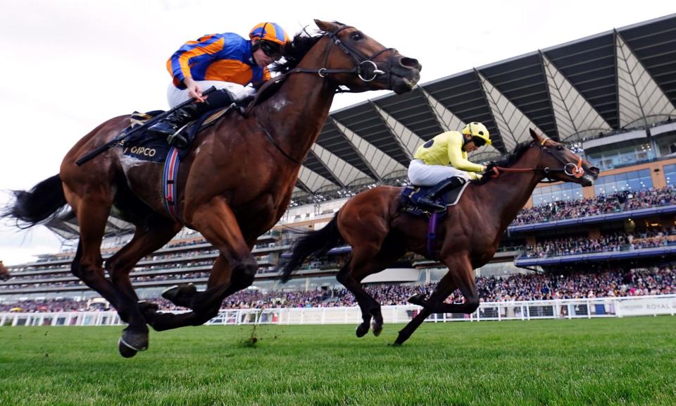 <span>Rosallion and Sean Levey (right, in yellow) on their way to winning the St James's Palace Stakes at Royal Ascot.</span><span>Photograph: David Davies/PA</span>