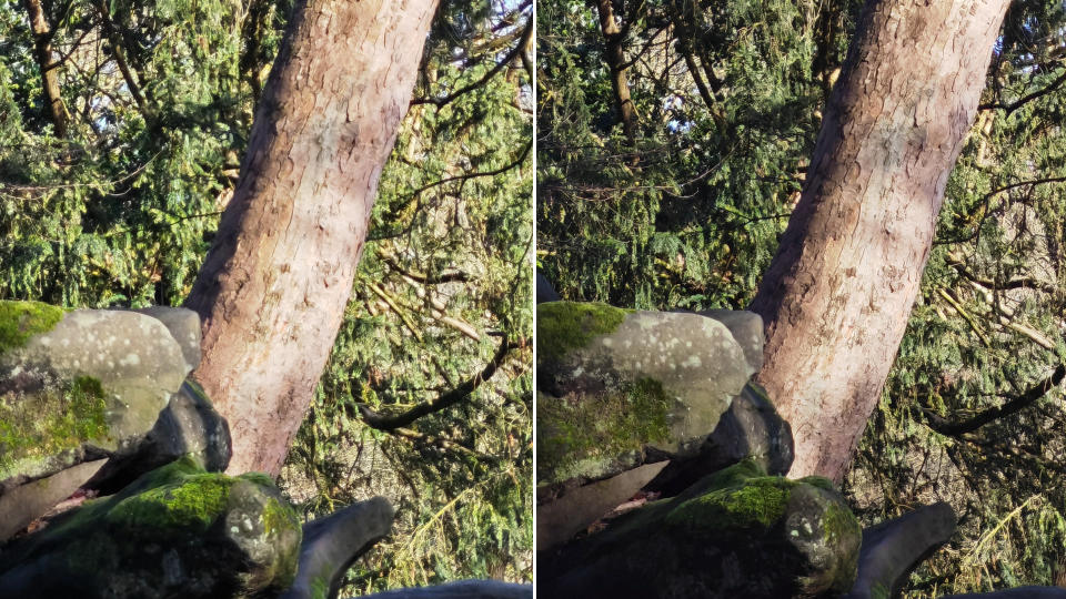 Honor Magic V2 sample photos side by side showing 10x zoom in with auto and pro (manual) settings applied