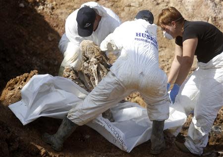 Forensic experts, members of the International Commision of Missing Persons (ICMP) and Bosnian workers search for human remains at a mass grave in the village of Tomasica near Prijedor, October 22, 2013. REUTERS/Dado Ruvic