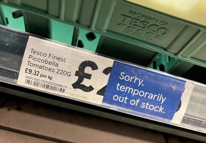 FILE PHOTO: Empty tomato section is seen on shelves at Tesco supermarket in London