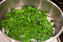 broccoli-rabe-sun-dried-tomatoes-2.jpg