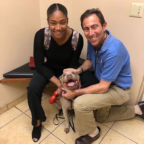 <p>tiffanyhaddish/Instagram</p> Tiffany Haddish and Dreamer with veterinarian Dr. Jeff Werber.