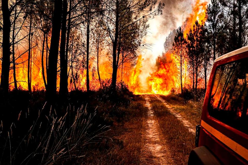 The fire brigade of the Gironde region (SDIS 33) battle a wildfire near Landiras, southwestern France (AP)