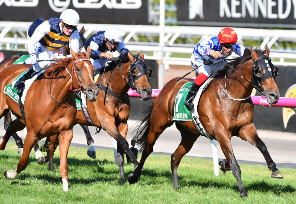 A photo of Michael Walker riding Harlem wins Race 8, TAB Australian Cup during Melbourne Racing at Flemington Racecourse on March 10, 2018 in Melbourne, Australia.