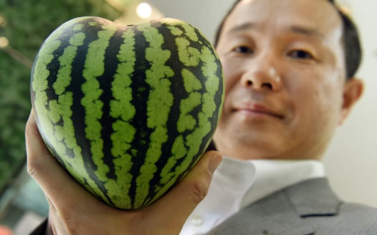 Senior managing director Mototaka Nishimura of the Shibuya Nishimura luxury fruit shop displays a heart-shaped watermelon at the company's main store in Tokyo, on July 1, 2015