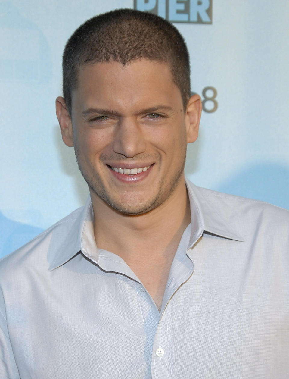 "Prison Break" star Wentworth Miller <a href="http://www.huffingtonpost.com/2013/08/21/wentworth-miller-comes-out-gay_n_3792389.html?utm_hp_ref=gay-voices" target="_blank">came out</a> in August 2013 after being invited to attend the St. Petersburg International Film Festival in Russia. In the midst of massive anti-gay violence and legislation throughout the country at that time, he decided it was time to go public about his sexuality.  "Thank you for your kind invitation. As someone who has enjoyed visiting Russia in the past and can also claim a degree of Russian ancestry, it would make me happy to say yes," the 41-year-old wrote in a letter to the festival's director, which was posted on GLAAD's website. "However, as a gay man, I must decline."