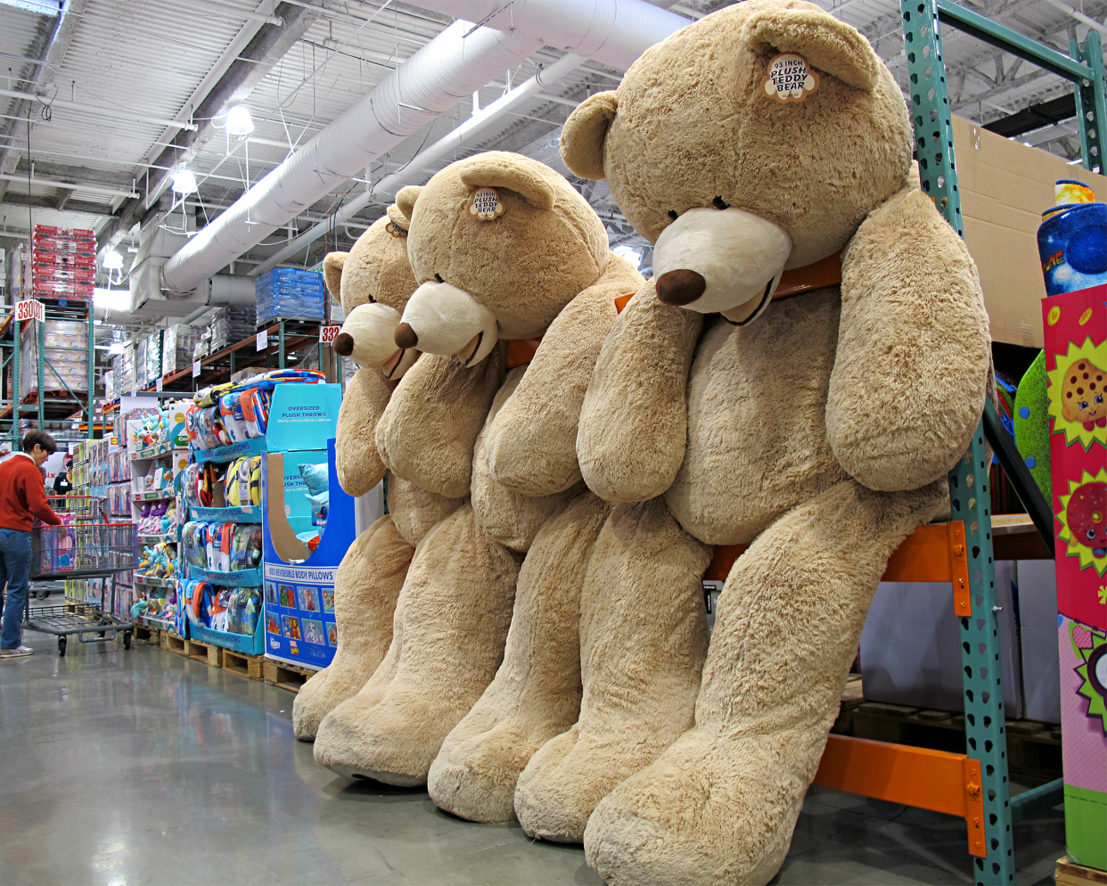 giant teddy bears at Costco