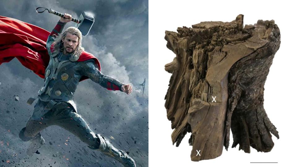 Thor and an image of the wood that allows scientists to determine when Vikings sailed to the Americas