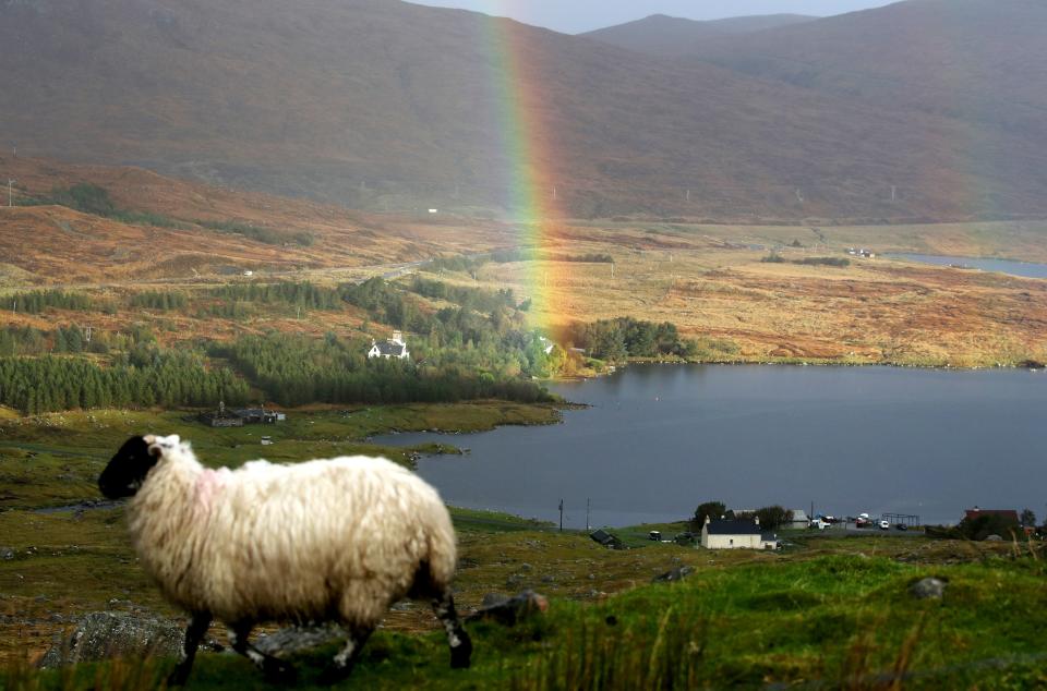 <p>But the gender pay gap in rural, island and remote areas has decreased over the last decade.</p>