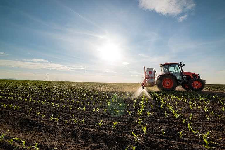 Crecieron 15% en quintales los precios de los alquileres agrícolas