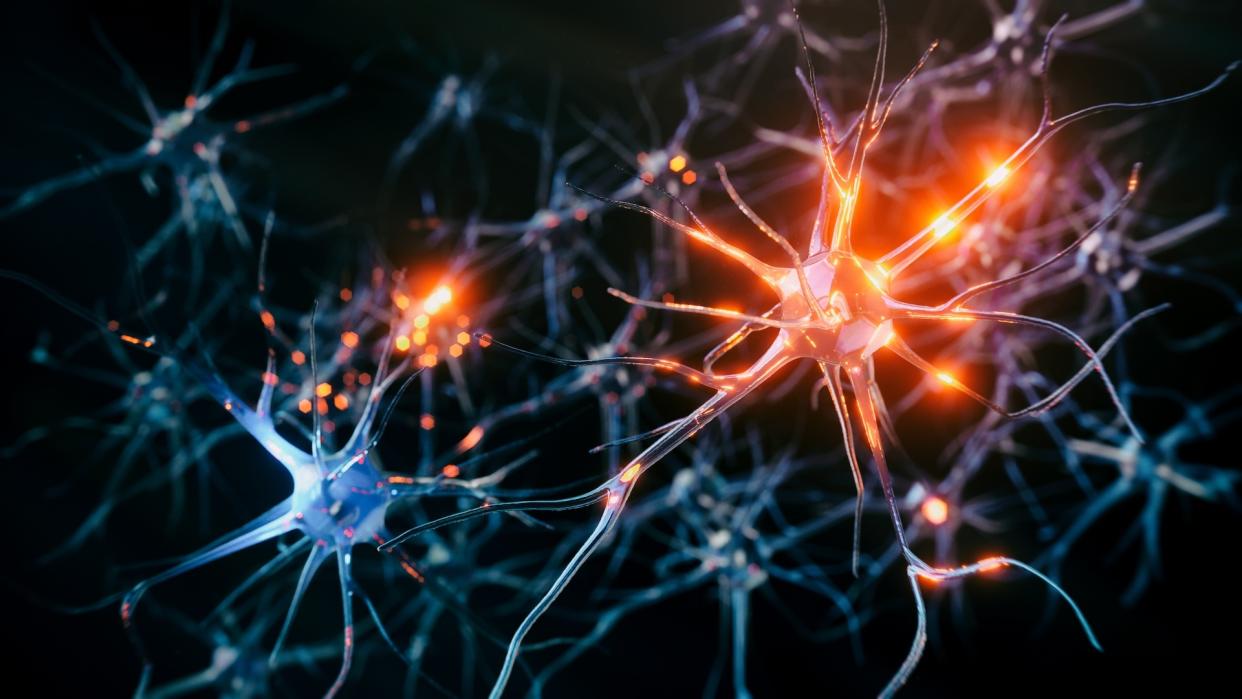  An illustration of blue neurons against a black background; some are glowing orange with points of light, representing electrical singals. 