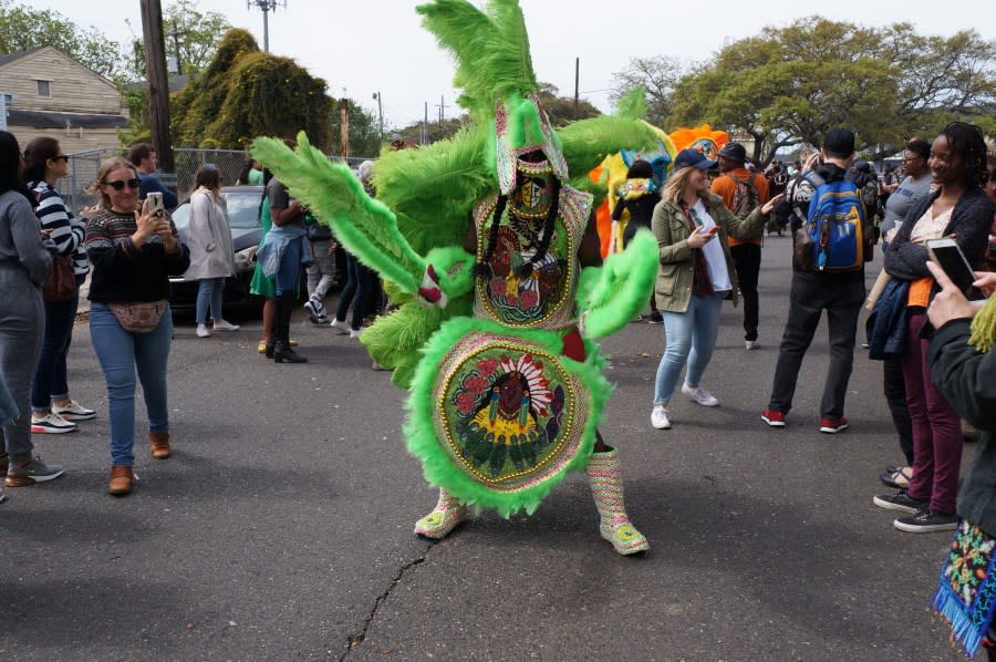 Mardi Gras Indians and revelers during the Uptown Super Sunday celebration in New Orleans (LeBron Joseph photo)