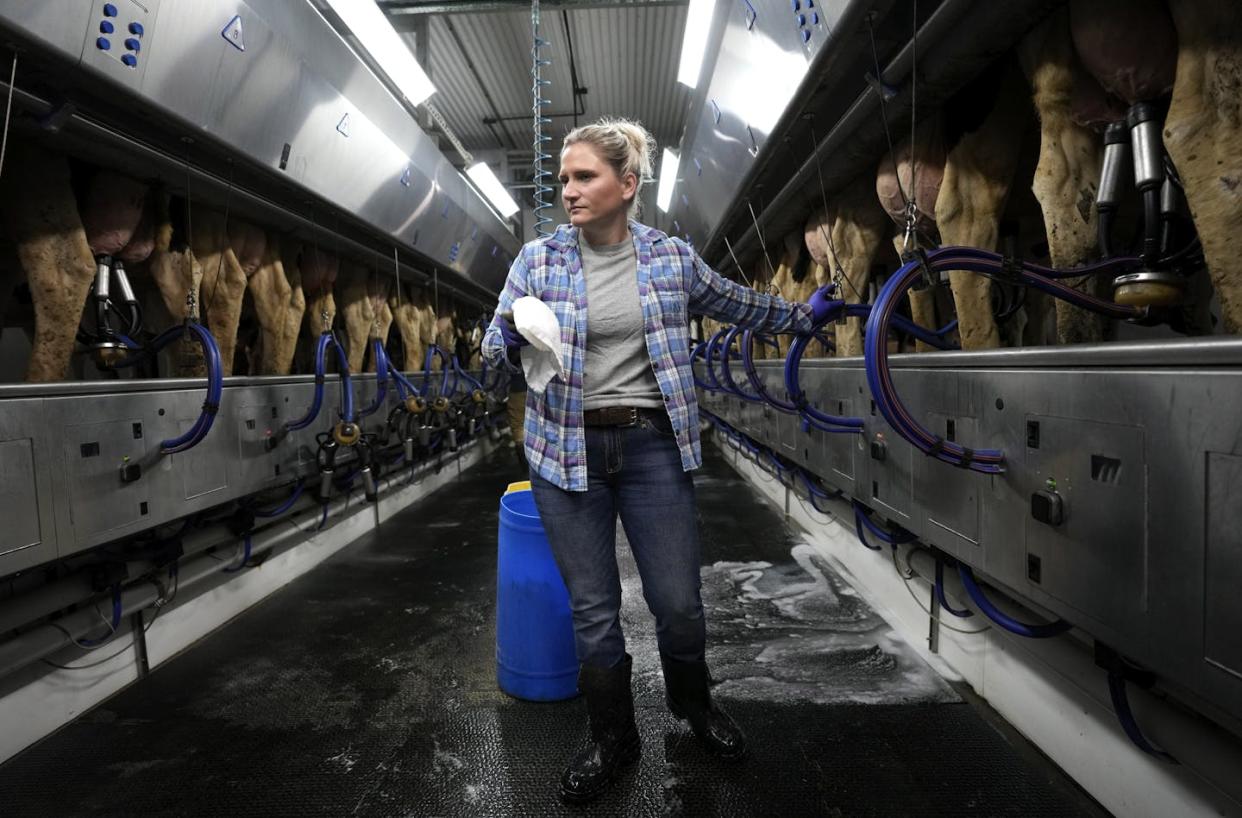 Running a dairy farm isn't easy, especially when the costs of production rise faster than income. <a href="https://newsroom.ap.org/detail/LivestockHeatStress/1a30a5f6a7824e669e9079d61a22d2d0/photo" rel="nofollow noopener" target="_blank" data-ylk="slk:AP Photo/Charlie Neibergall;elm:context_link;itc:0;sec:content-canvas" class="link ">AP Photo/Charlie Neibergall</a>