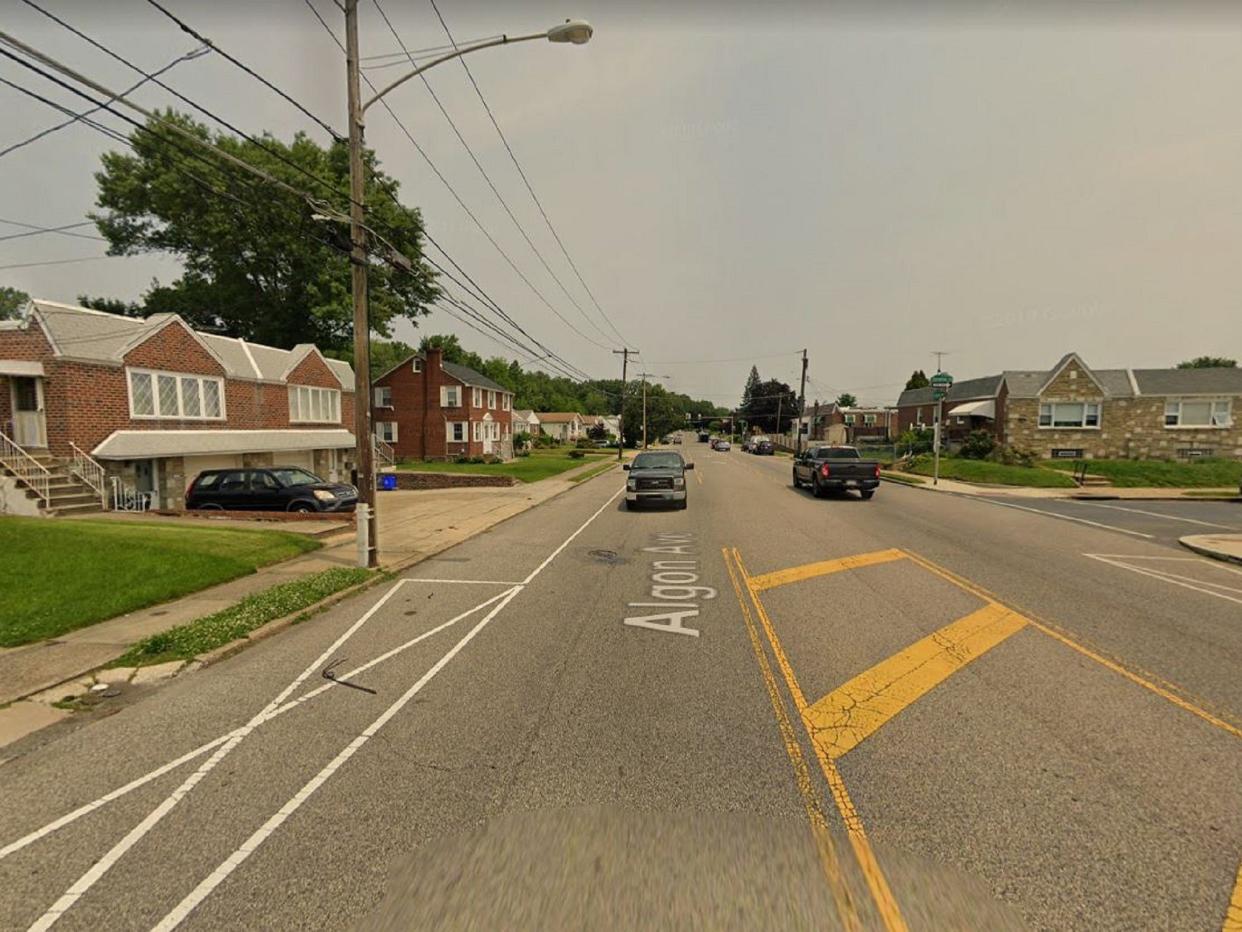 General view of Algon Avenue, in Philadelphia, where 59-year-old cat rescuer Albert Chernoff was found dead at his home on 5 November, 2019: Google